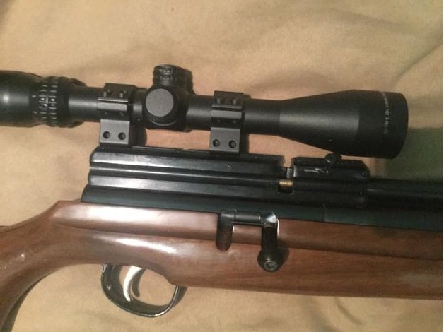 webley raider 10 shot