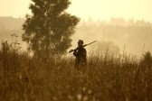 EuroHunt