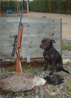 Hunting with airguns