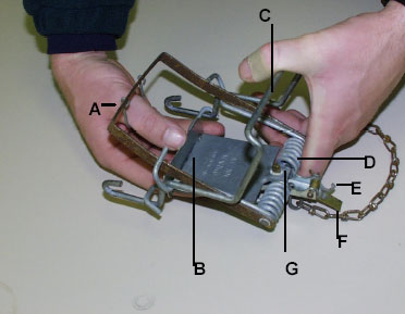 Fenn trap components