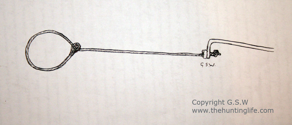 Wire Snare