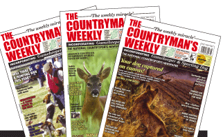 Countrymans Weekly