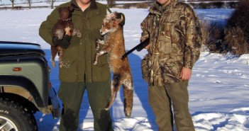 Fox Shooting Tales Fox Shooting - Large Dog Fox