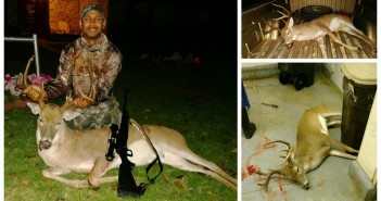 The One That Almost Got Away Whitetail Deer