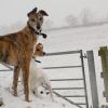 bonny And milly