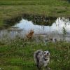 DSC00263