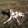 Relaxing after running 12wk