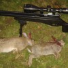 2 Down