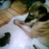 Photo0282