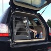 Freelander 2 Single Compartment Dog Box