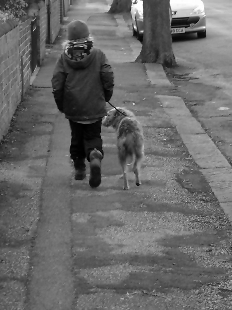 One Lad And His Dog