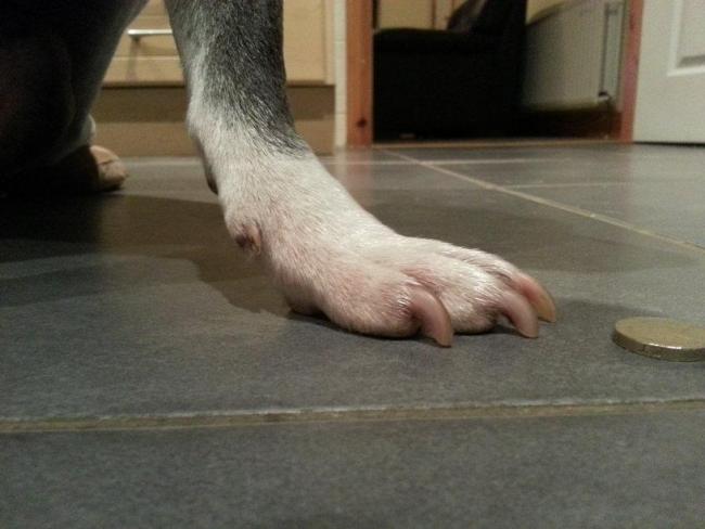 post-72258-0-61449100-1362172228_thumb.jpg