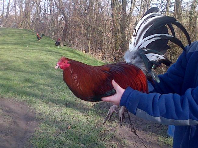 post-90084-0-02090000-1393943156_thumb.jpg