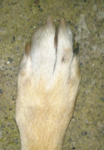 post-93982-0-57270100-1394740308_thumb.jpg