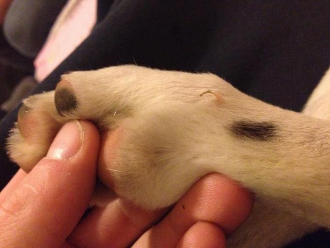 post-93481-0-97857400-1427225771_thumb.jpg