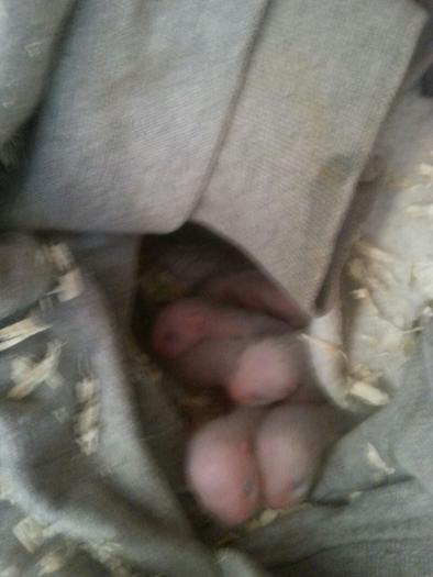 post-86848-142875039057_thumb.jpg