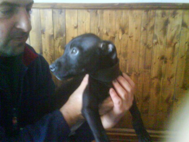 post-12775-1212623763_thumb.jpg