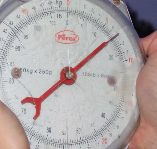 post-13039-1212503822_thumb.jpg