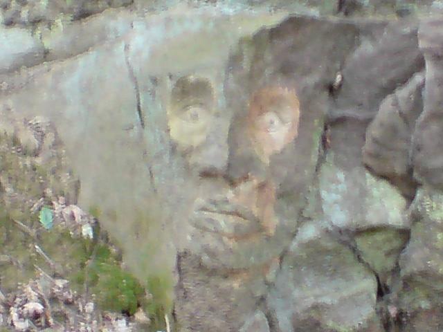 post-17503-1214244984_thumb.jpg