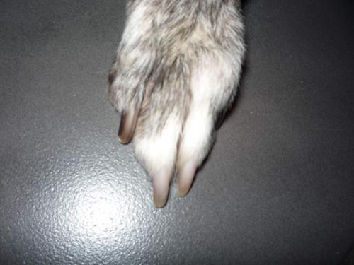 post-14857-127637896529_thumb.jpg