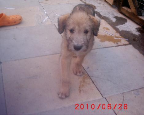 post-24663-043704100 1277838650_thumb.jpg