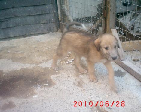 post-24663-090007700 1277838583_thumb.jpg