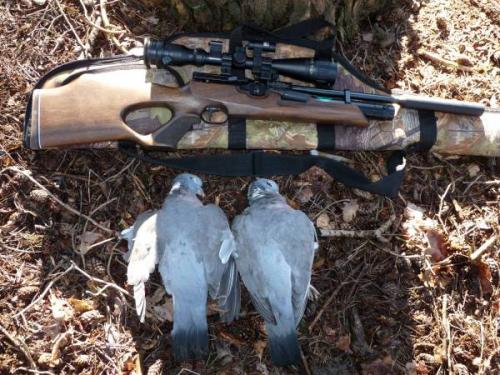 post-2627-036361600 1277492566_thumb.jpg