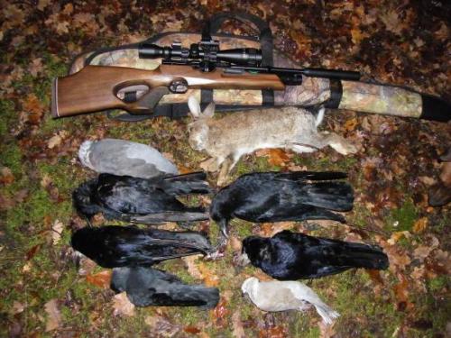 post-2627-074710000 1277492535_thumb.jpg