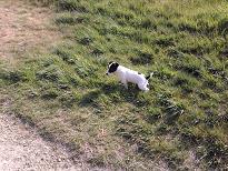 post-26552-076010500 1277632578_thumb.jpg