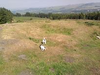 post-26552-080316200 1277632607_thumb.jpg