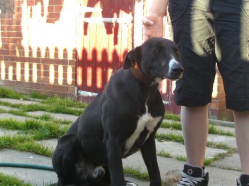 post-27532-099112200 1277234893_thumb.jpg