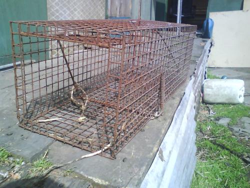 post-33947-026067700 1277755918_thumb.jpg