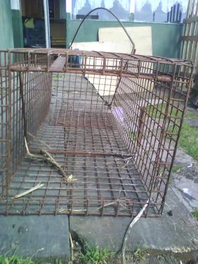 post-33947-037877100 1277756015_thumb.jpg