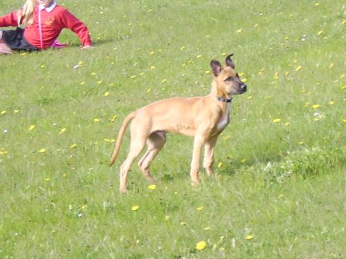 post-38835-090315300 1277633681_thumb.jpg