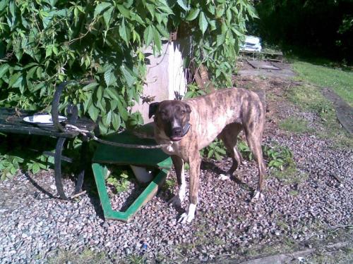 post-40585-066486200 1276934706_thumb.jpg