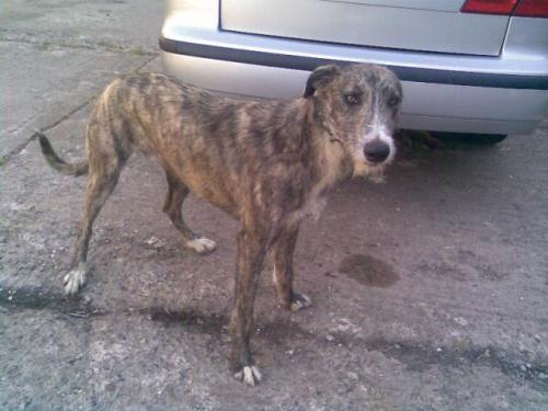 post-40585-079301900 1276934068_thumb.jpg