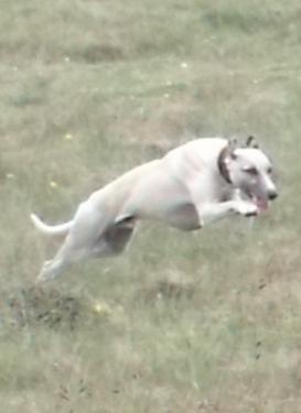 post-43223-028160500 1277472935_thumb.jpg