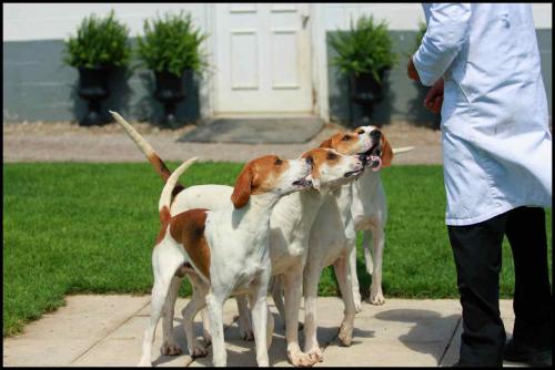 post-45474-008778200 1276986853_thumb.jpg