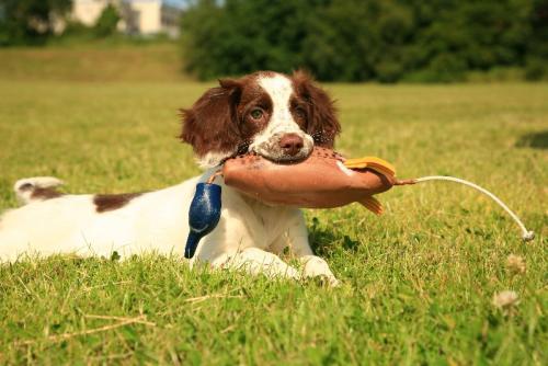 post-48500-073669100 1277670541_thumb.jpg