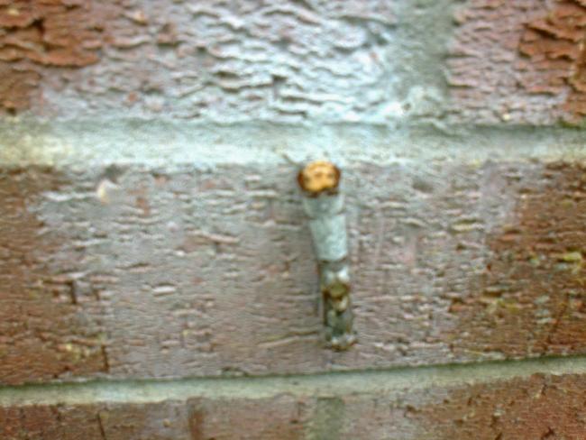 post-57910-0-60934700-1433511566_thumb.jpg