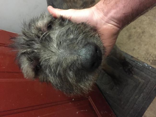 post-96463-0-70152500-1467195872_thumb.jpeg