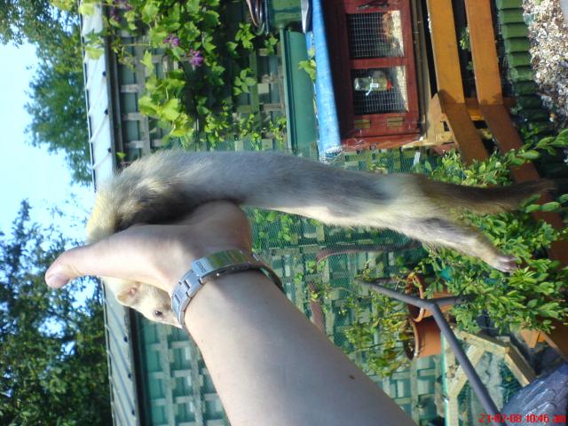 post-10963-1216658281_thumb.jpg