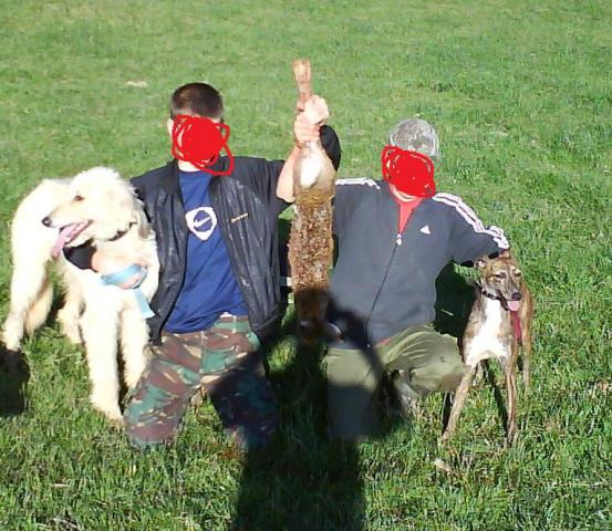 post-17498-1214922594_thumb.jpg