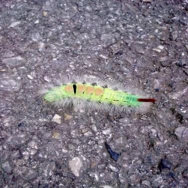 post-11694-066625600 1278181595_thumb.jpg