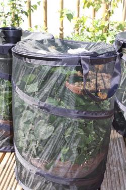 post-16-058897400 1278067637_thumb.jpg