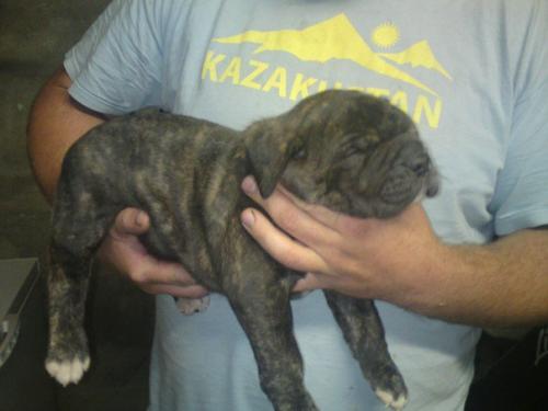 post-17265-022759600 1280534326_thumb.jpg