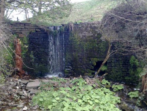 post-17284-030705500 1280239641_thumb.jpg