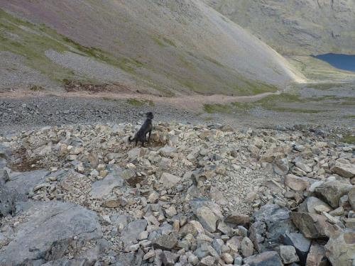 post-17284-053779800 1280247982_thumb.jpg