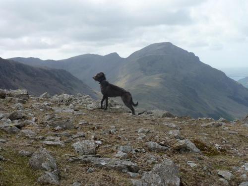 post-17284-060894000 1280247964_thumb.jpg