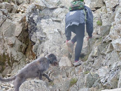 post-17284-094592000 1280247973_thumb.jpg